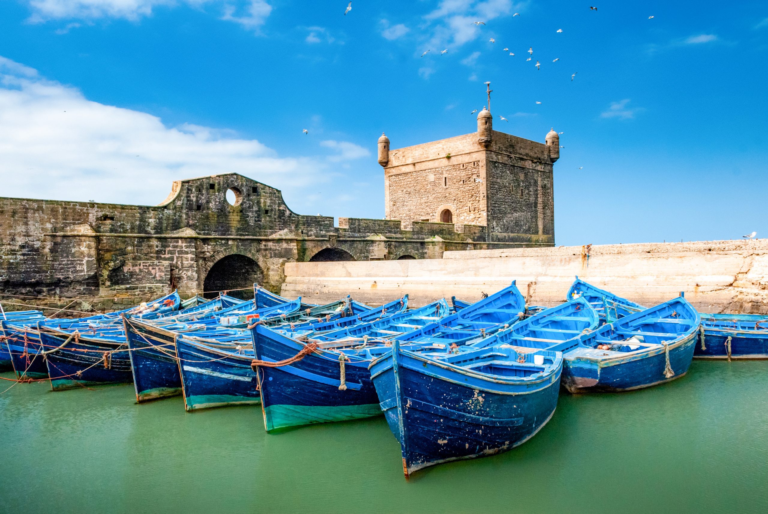 A fleet of blue fishing boats huddled together in the port of Essaouira in Morocco. You can also see the fortifications and a tower of the citadel of Mogador