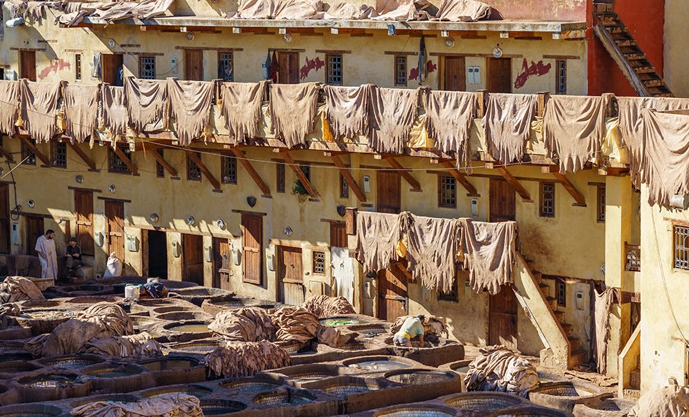 Traditional Leather Dyeing Process in Fes, Morocco