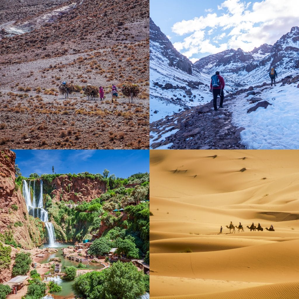 Seasonal Landscapes of Morocco on Guided Tours